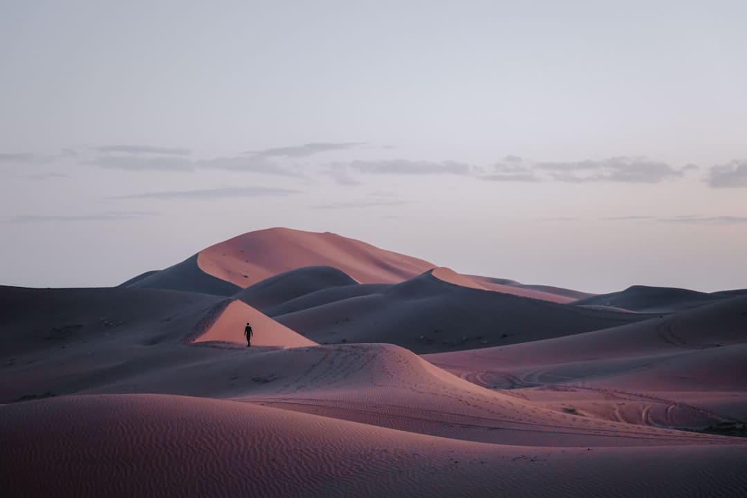 王星越白鹿联系解析：又爱又恨的宿舍日常引发热议